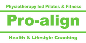 Pro-align Logo